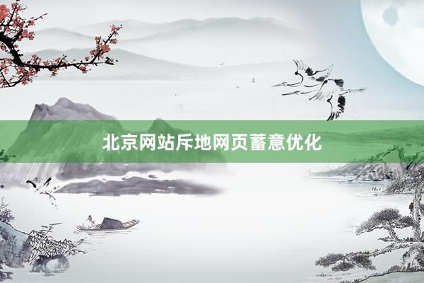 北京网站斥地网页蓄意优化