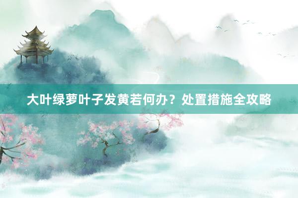大叶绿萝叶子发黄若何办？处置措施全攻略