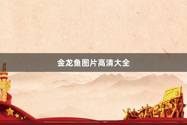 金龙鱼图片高清大全